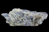 Vibrant Blue Kyanite Crystal Cluster - Brazil #97970-1